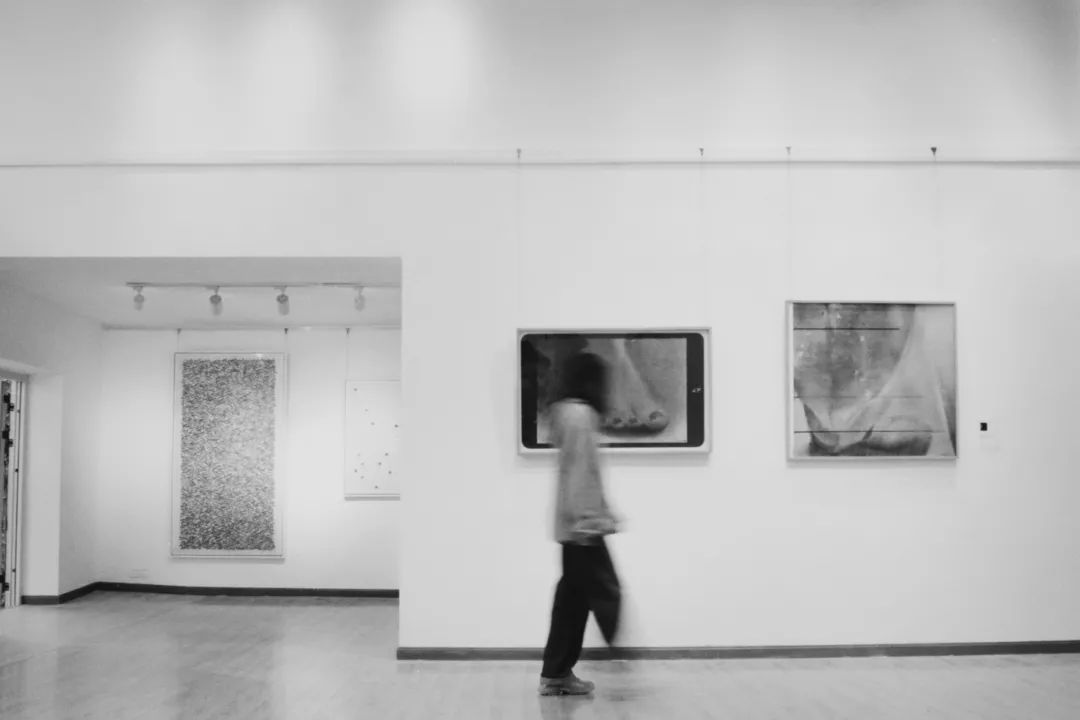 图像检验·2019全国高等院校艺术类研究生中国画教学邀请展