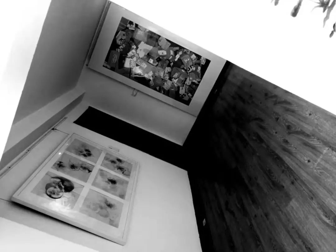 图像检验·2019全国高等院校艺术类研究生中国画教学邀请展