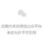 《大西洋古抄本》是达·芬奇诸多手稿集册中最大的一部，共12卷，1119张，年代分布在1478年到1519年，包含类别非常广泛，有飞行、武器、乐器、数学、植物学等。