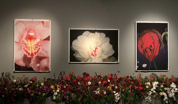 《荒木经惟·花幽》展览现场