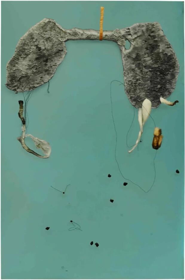 汉迪威曼 · 苏普塔拉 (Handiwirman Saputra)