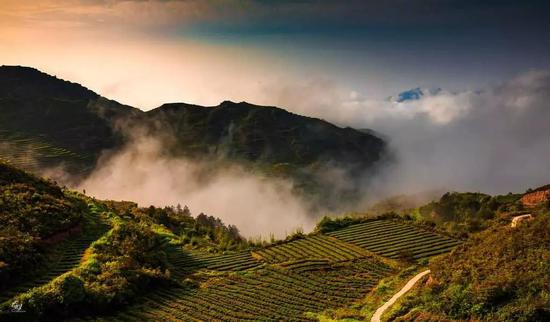 华艺国际2019秋拍 ：空持百千偈 不如吃茶去