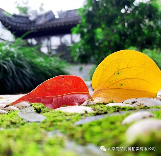 素青阴刻：微中藏万物 玉上隐华章