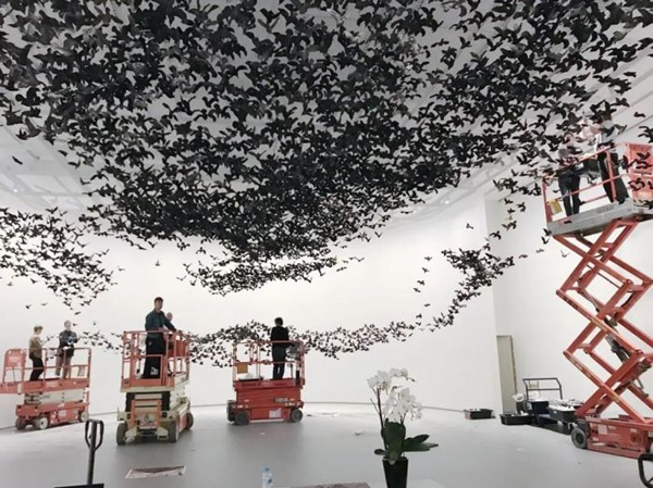 《鸟云》艰辛布展现场，2019，维多利亚州国立美术馆