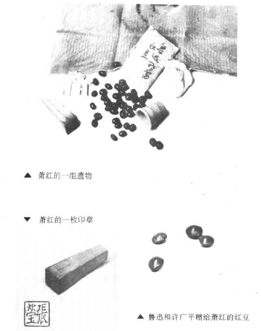 一颗鲁迅送给萧红的红豆拍出20多万？真相是什么
