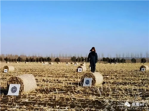 当代艺术黑马王华明