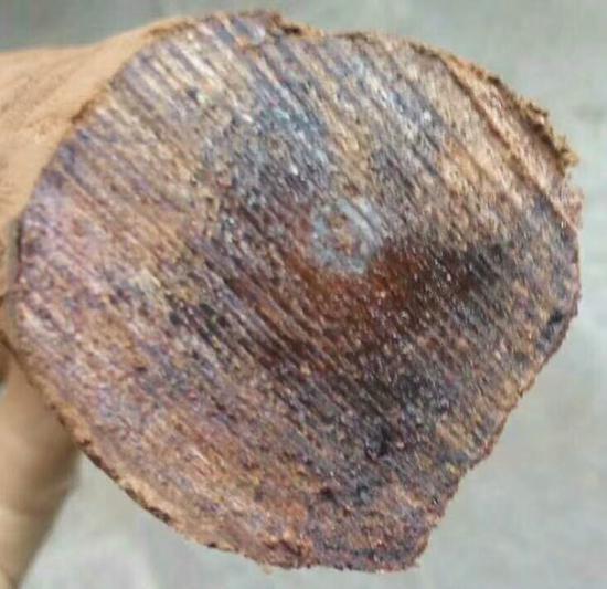 降真香为何能使人长寿
