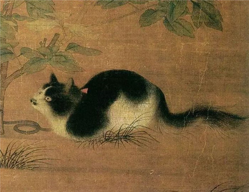一萌千年：宋人对猫的“执念”