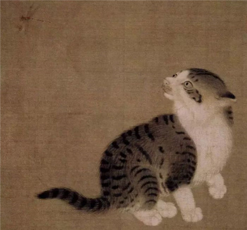 一萌千年：宋人对猫的“执念”