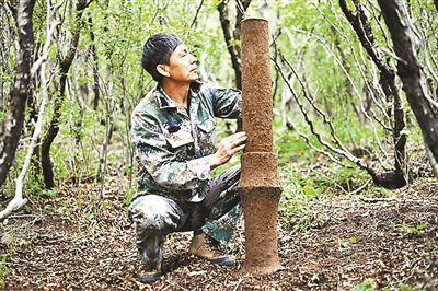在黄楼院长城附近的密林中，杨国庆先生发现的火炮