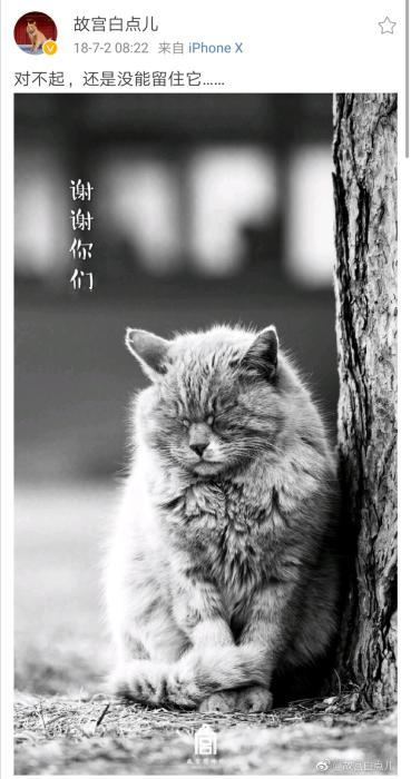 故宫的神秘守护者：晚上巡逻不要一分钱工资