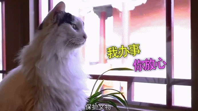 故宫的神秘守护者：晚上巡逻不要一分钱工资