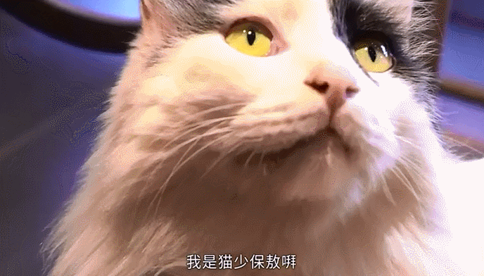 故宫的神秘守护者：晚上巡逻不要一分钱工资