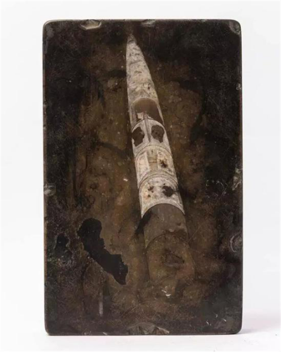 震旦纪角石砚（汤贻汾曾用砚）25.7x16.2x4.8cm
