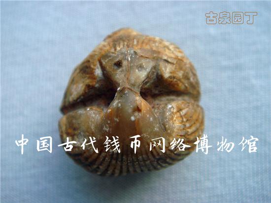 为什么研究古钱必须从认识贝币开始