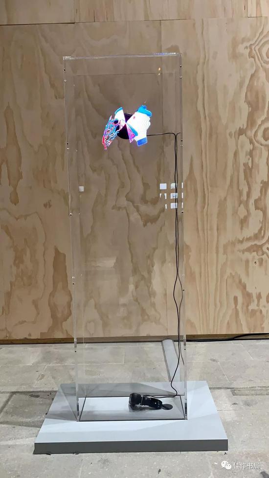第58届威尼斯双年展（海量图集)
