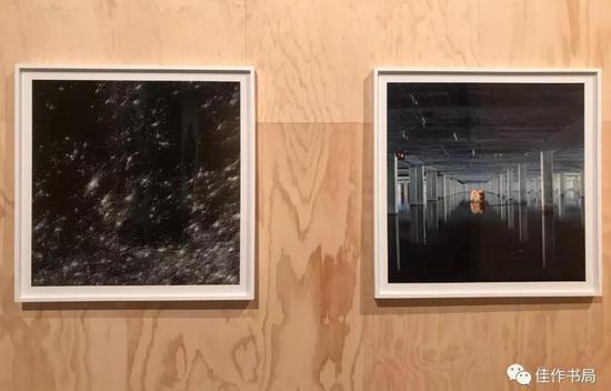 第58届威尼斯双年展（海量图集)