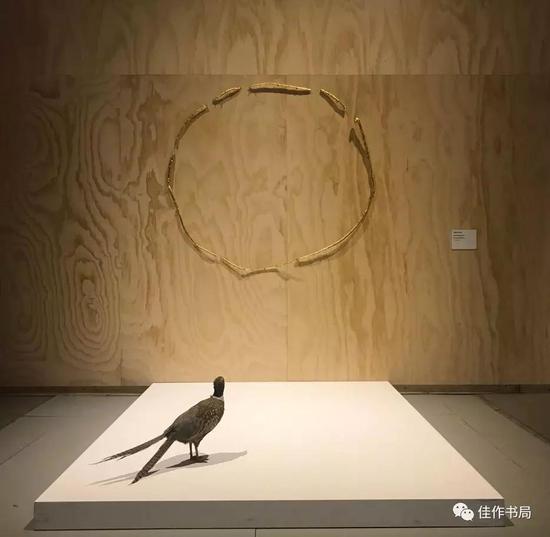 第58届威尼斯双年展（海量图集)