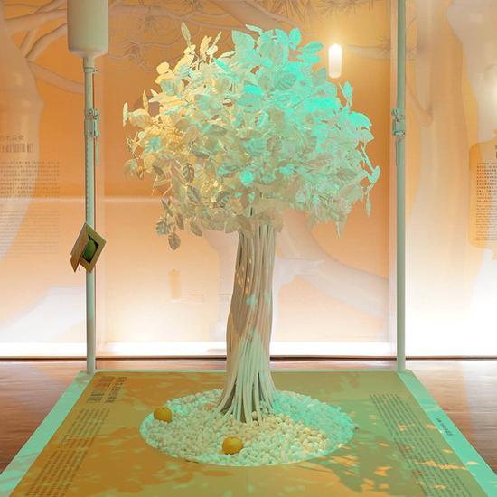 518博物馆日的全球免费展