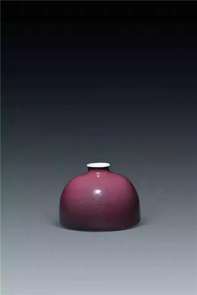 瓶花：方寸之地 美自悠然