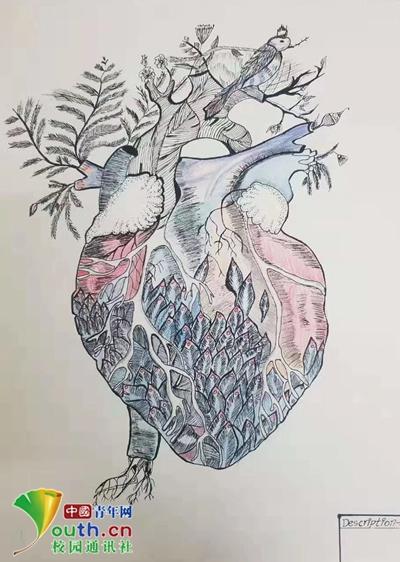 大学生手绘人体器官极具艺术美感