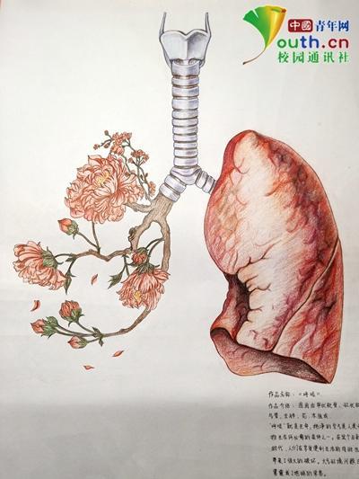 大学生手绘人体器官极具艺术美感