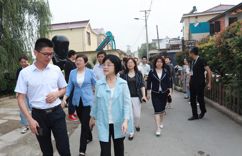 首届中国·;铜陵田原艺术季彰显美丽乡村建设新气象
