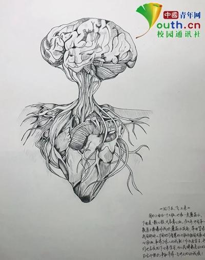 大学生手绘人体器官极具艺术美感