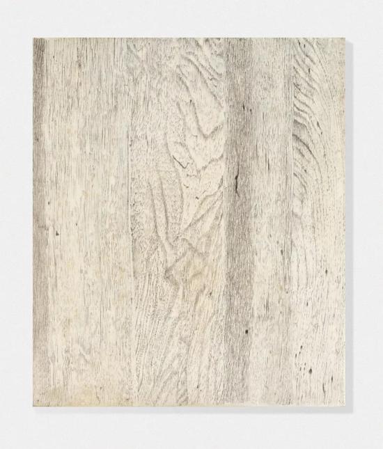 Lot.706 胡晓媛 木之二 2008年