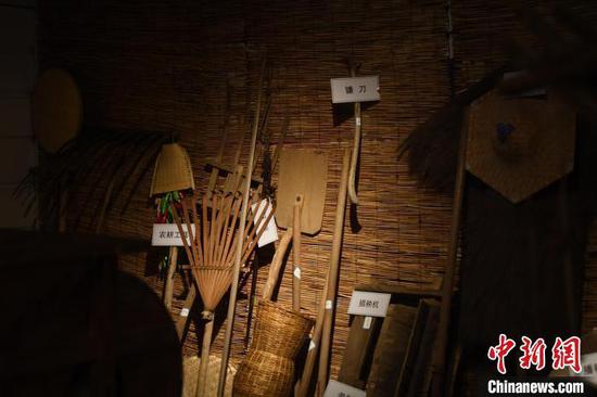 中国平均25万人拥有一座博物馆 如何多元化发展
