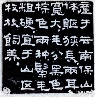 20190822170028_2763.jpg