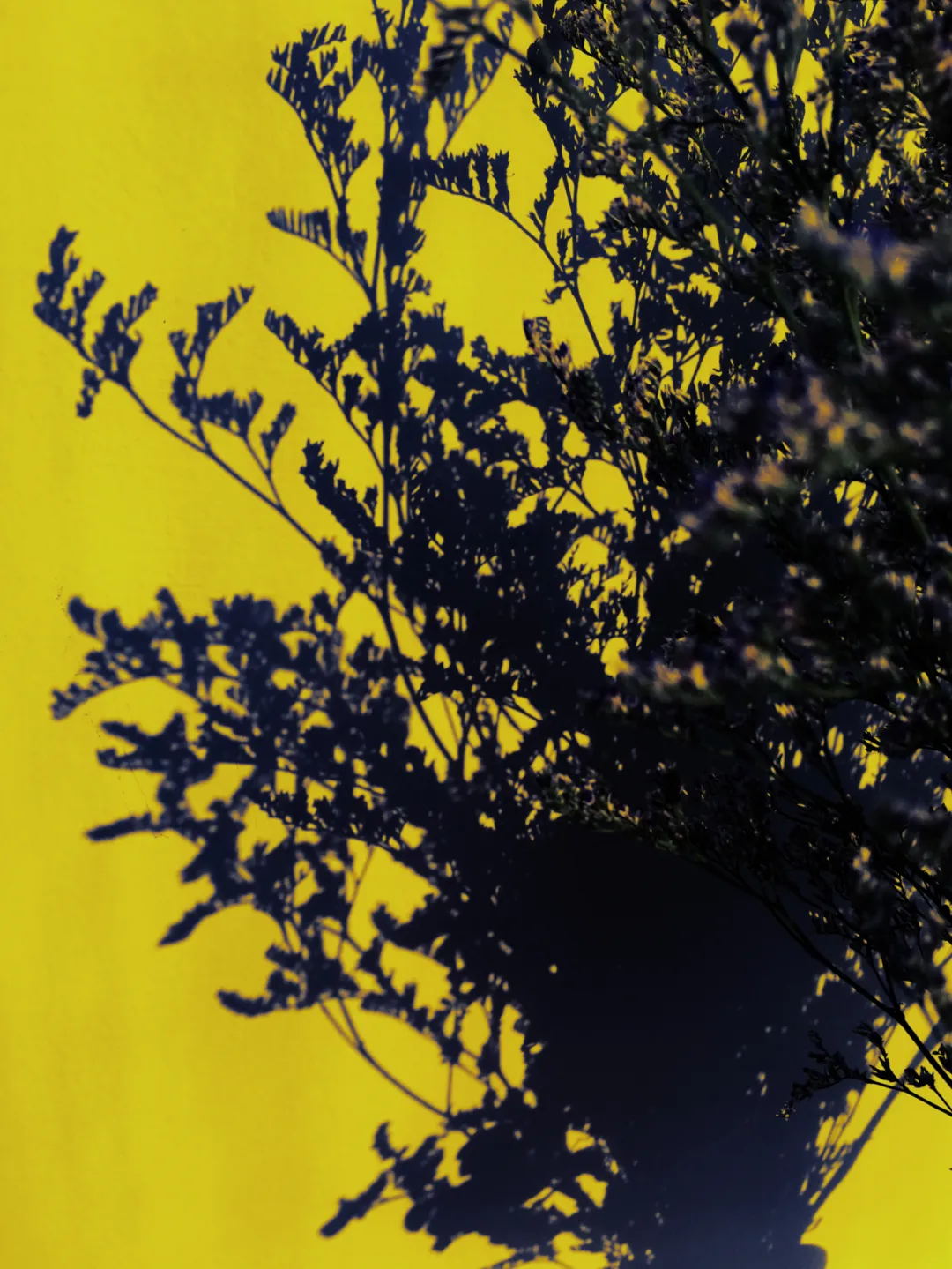 20200323150008_0988.png