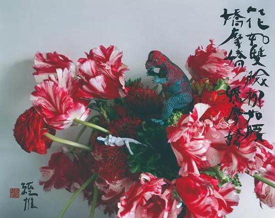 荒木经惟全球最大规模花主题摄影展亮相北京798