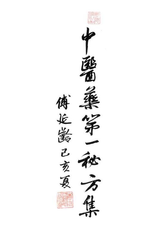 中医药第一秘方集获中医药界学者专家公认