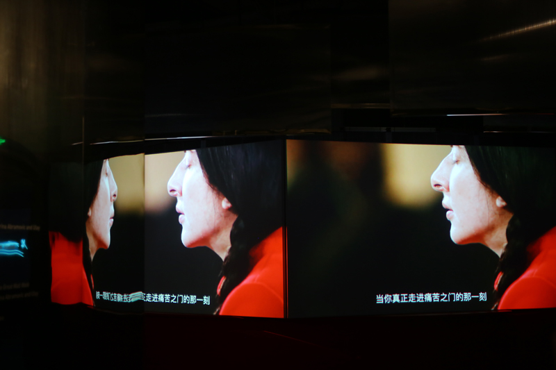 《爱的艺术：亲密》全球影像艺术展登陆上海