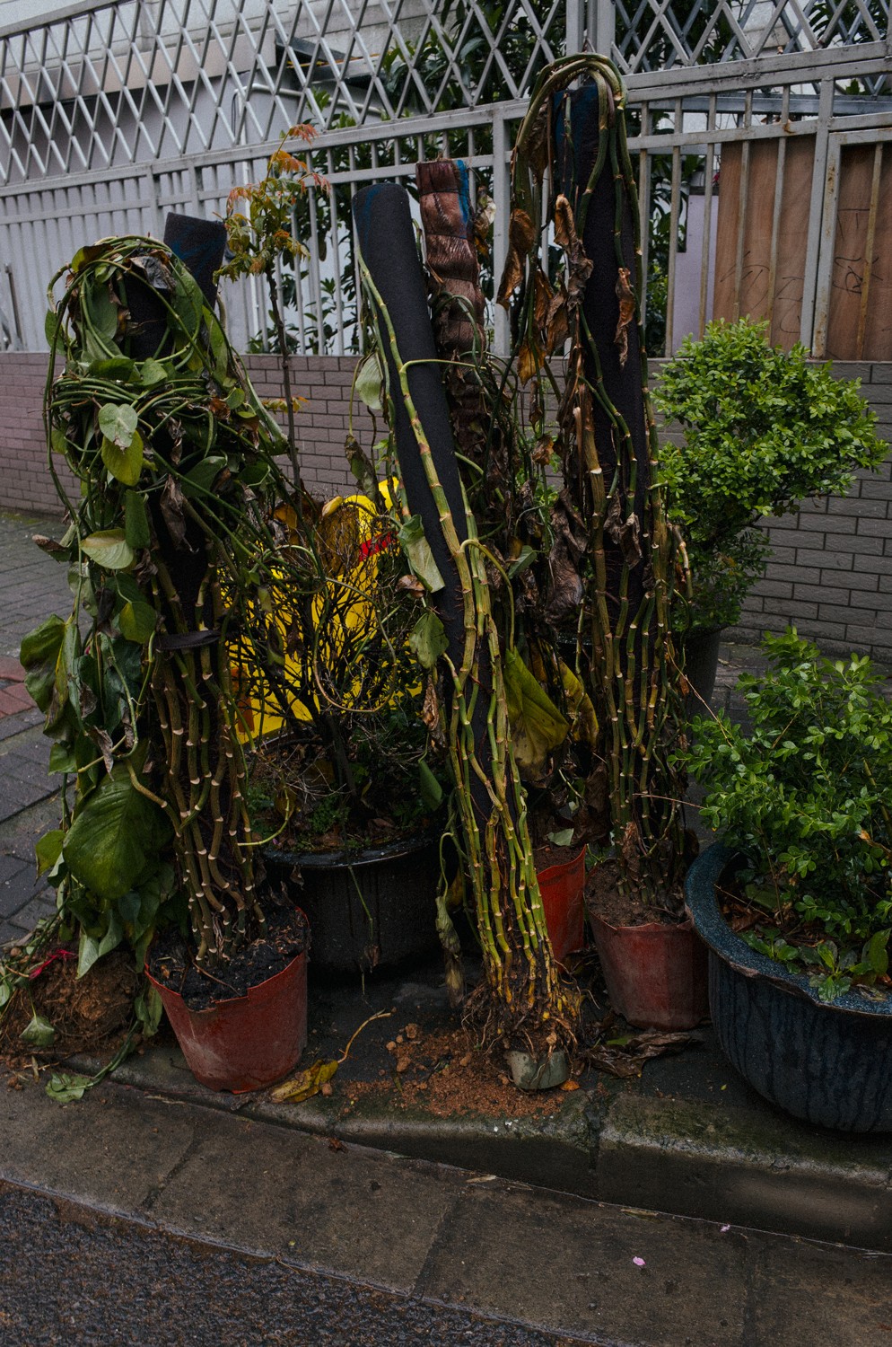 http://img07.img.mei-shu.net/Uploads/zhonghe/2711/4msm3gqldvh.jpg