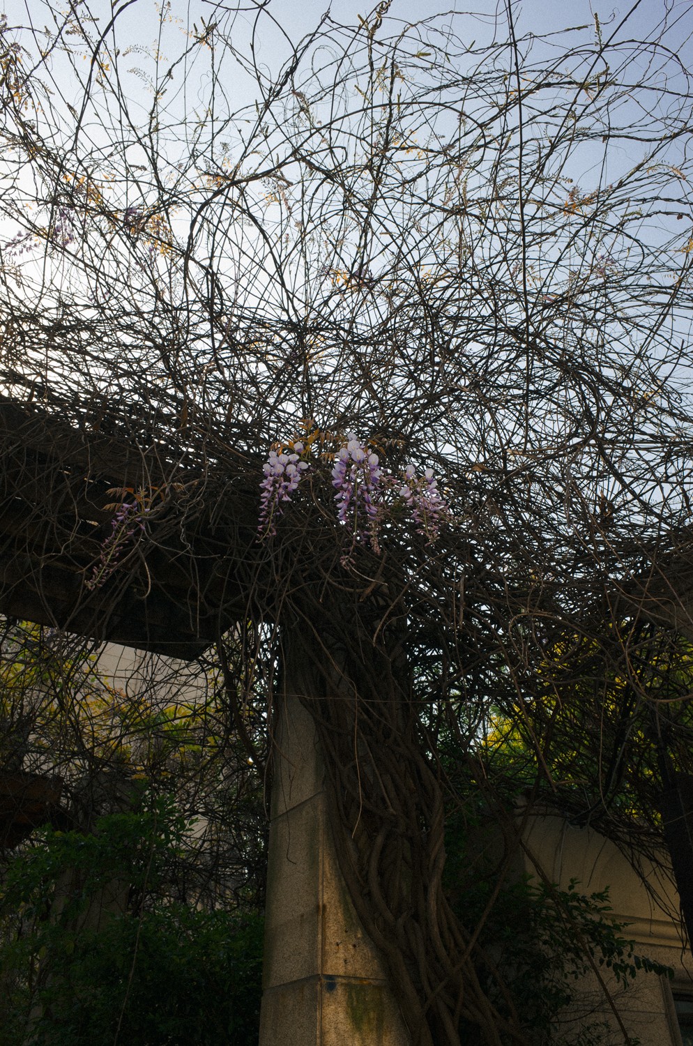 http://img07.img.mei-shu.net/Uploads/zhonghe/2711/4xzxtwbtsxl.jpg