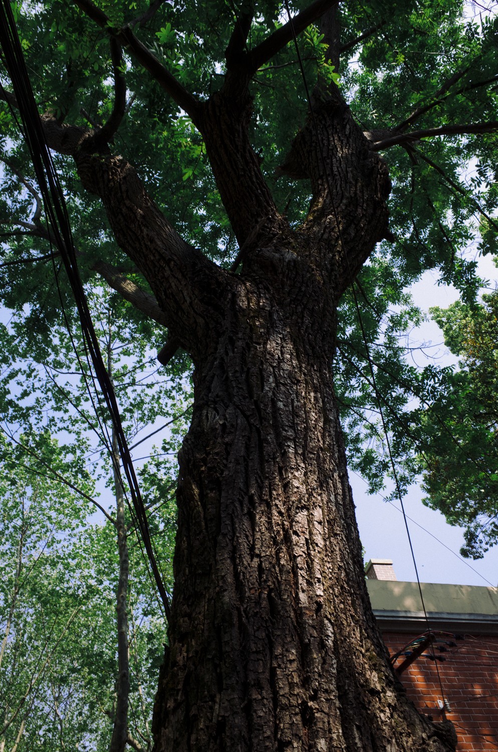 http://img07.img.mei-shu.net/Uploads/zhonghe/2711/5vu1mva4foj.jpg