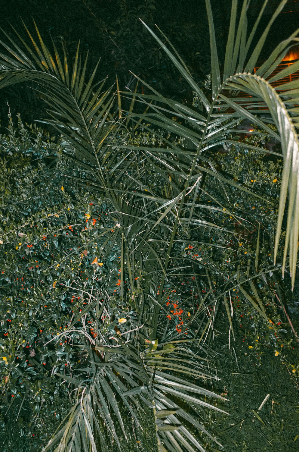 http://img07.img.mei-shu.net/Uploads/zhonghe/2711/hynmsnp0qkm.jpg