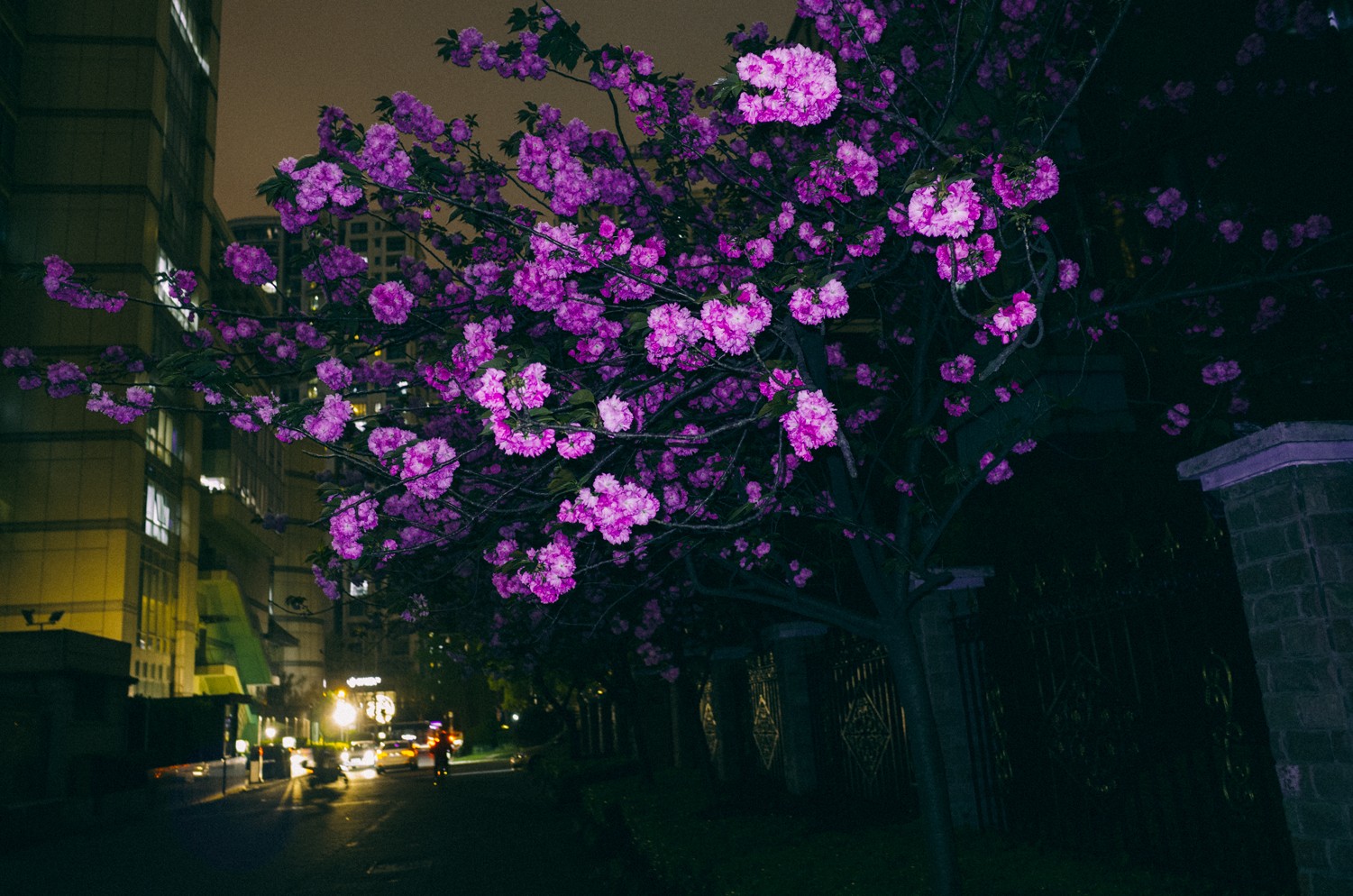 http://img07.img.mei-shu.net/Uploads/zhonghe/2711/j34myrrnyja.jpg