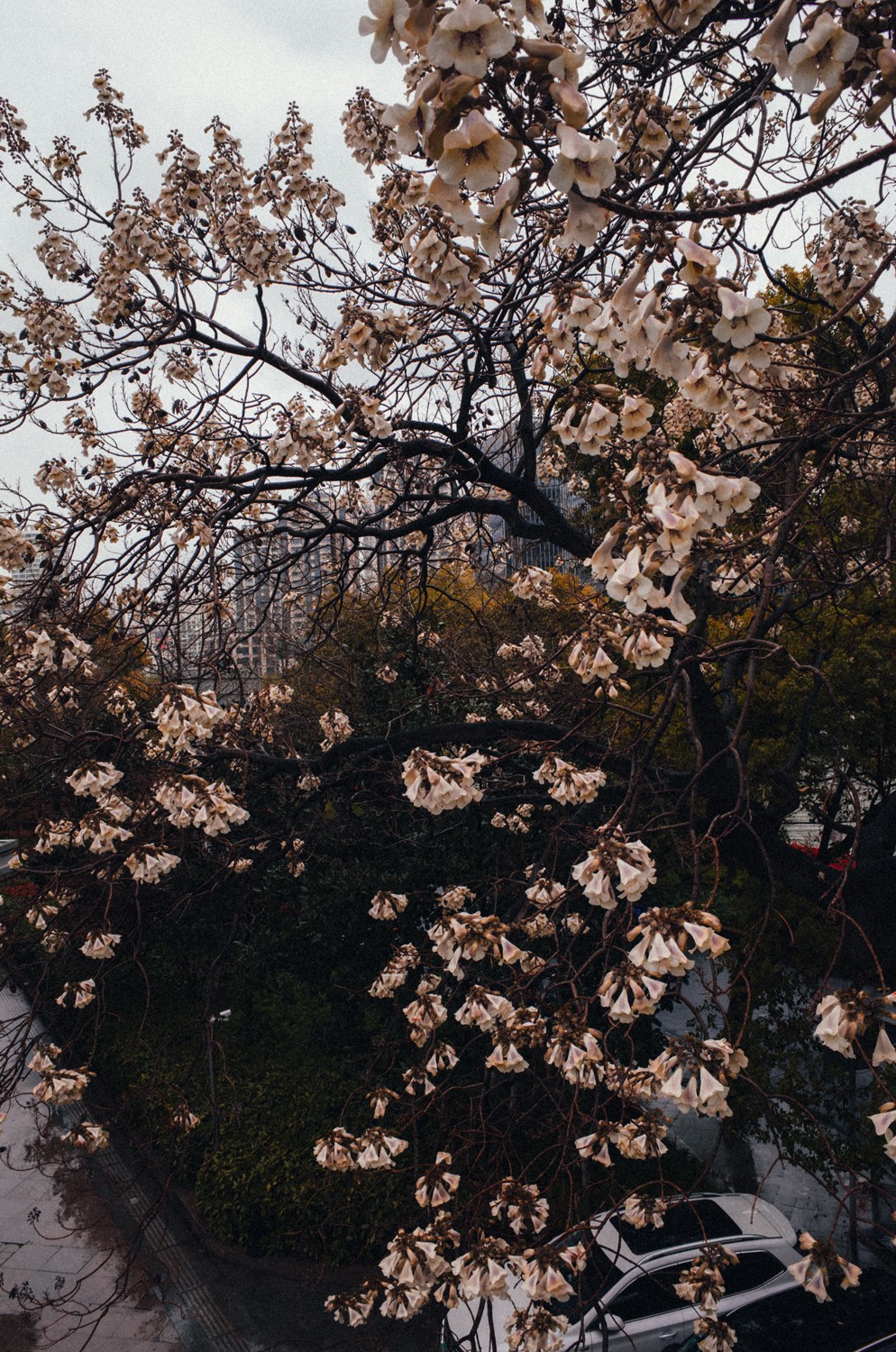 http://img07.img.mei-shu.net/Uploads/zhonghe/2711/li50izjdu4w.jpg