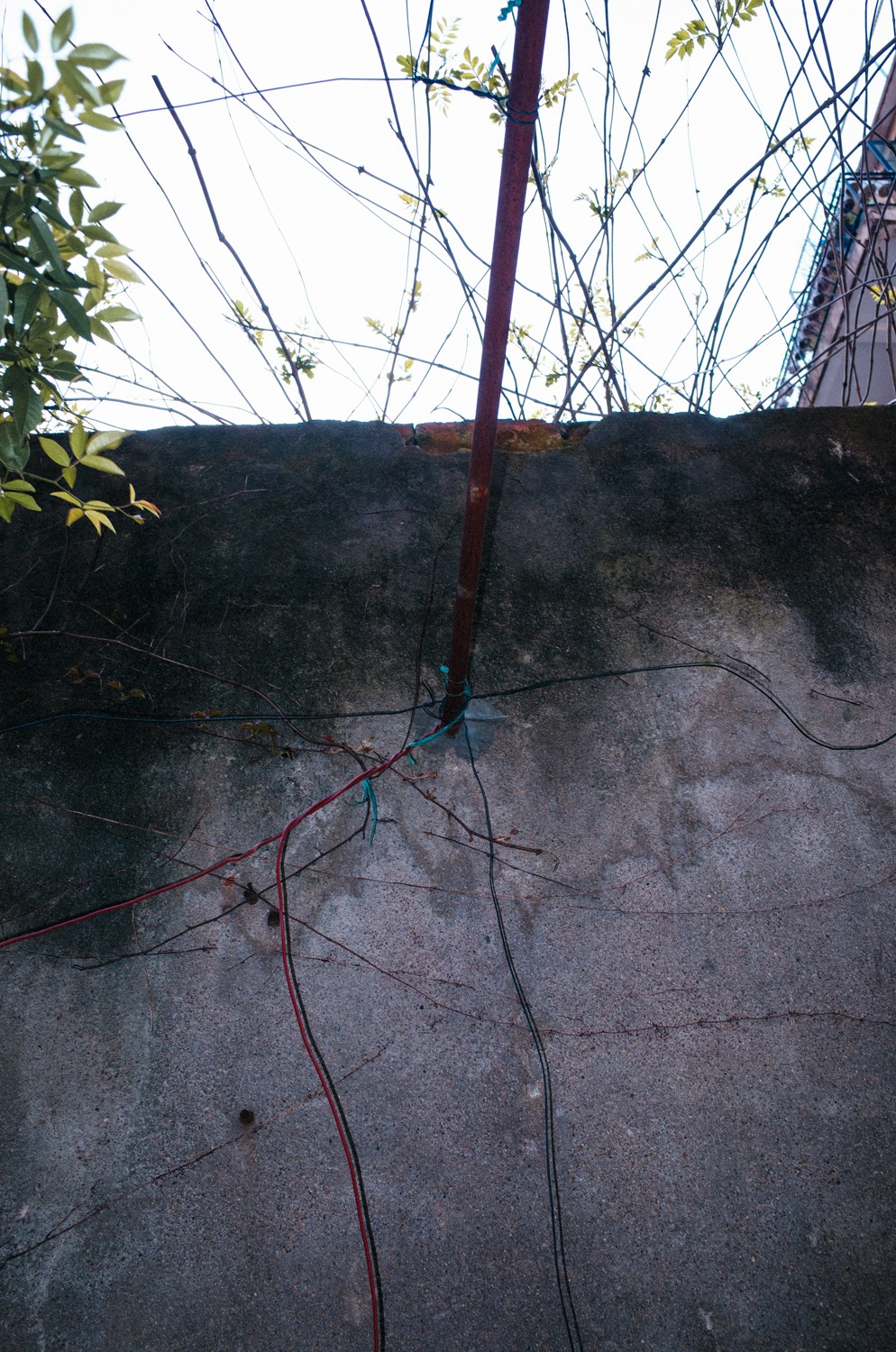 http://img07.img.mei-shu.net/Uploads/zhonghe/2711/mk3tdalomli.jpg