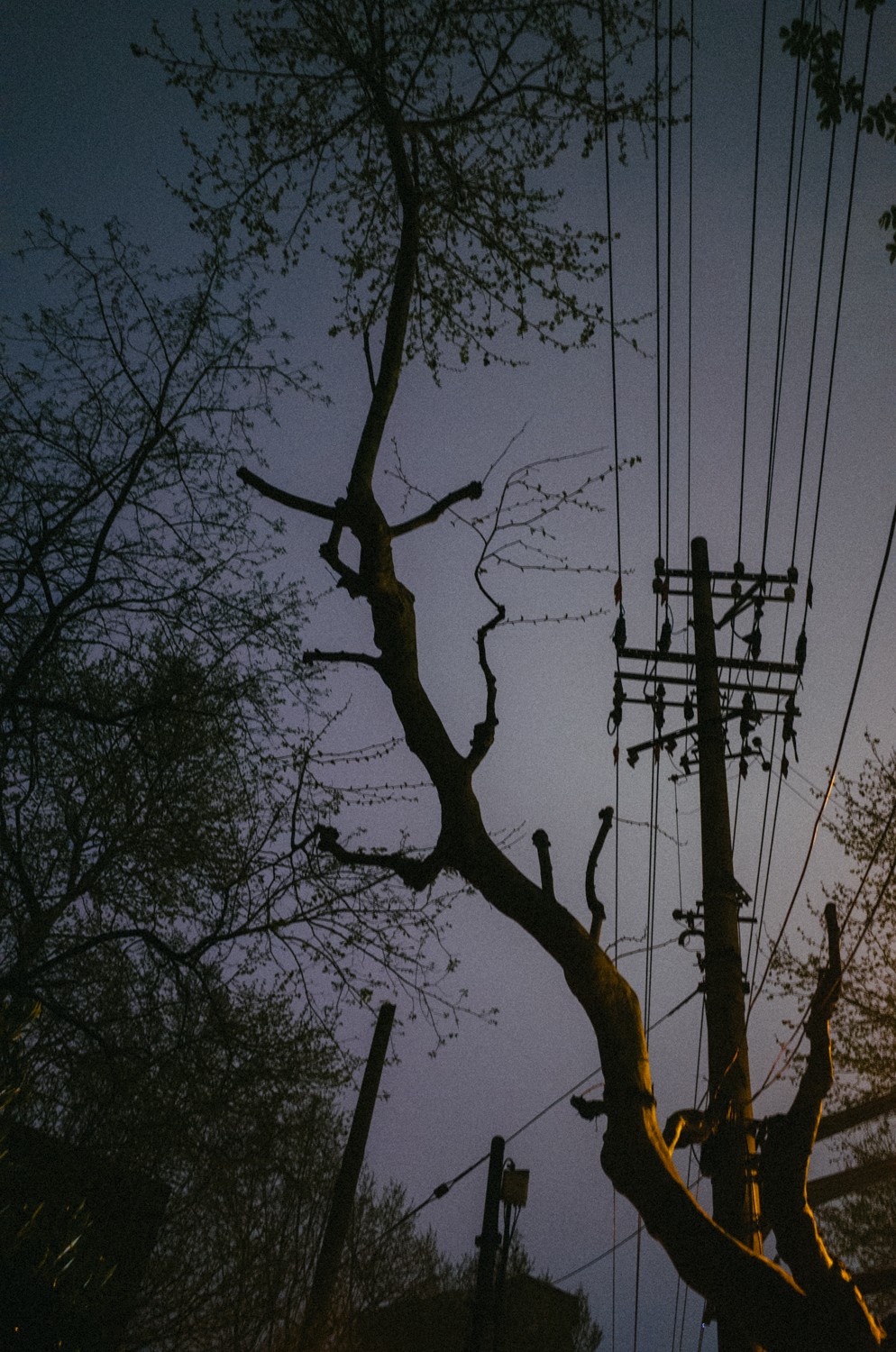 http://img07.img.mei-shu.net/Uploads/zhonghe/2711/mzeeiaizcxn.jpg