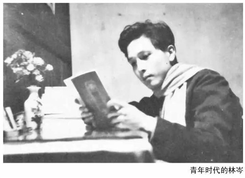 送别林岑！厦门又失去了一位书画名家