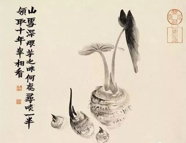 以禅宗为主——金农的艺术思想