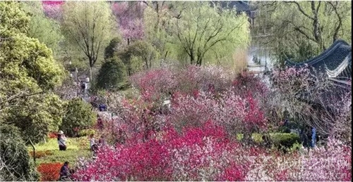 荣宝斋画院来古盐运河落户啦！快看， 书画家在凤城河风景区怎么采风的？