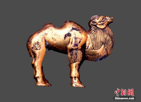 秦始皇陵陵西发现大型墓葬 出土珍贵金骆驼