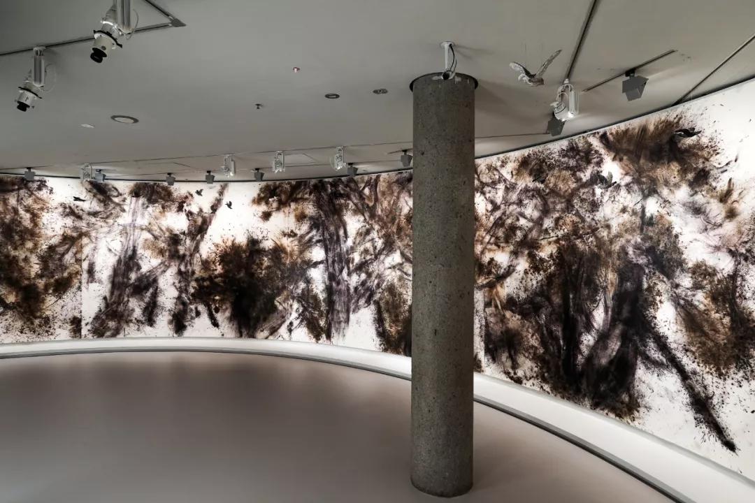 《柏风》，2019， 维多利亚州国立美术馆摄影：Tobias Titz