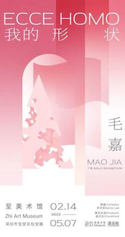 我的形状——毛嘉个展