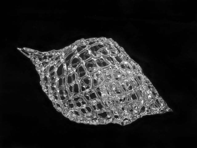 Marcy Chevali - From the Inside